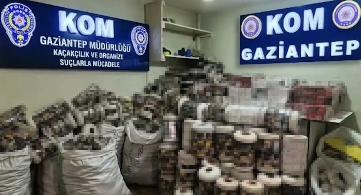 Gaziantep’te 14 bin paket kaçak sigara ele geçirildi: 1 gözaltı