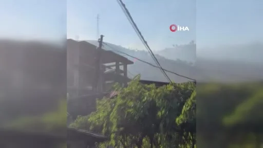 Baykan’da ormanlık alanda çıkan yangın paniğe neden oldu