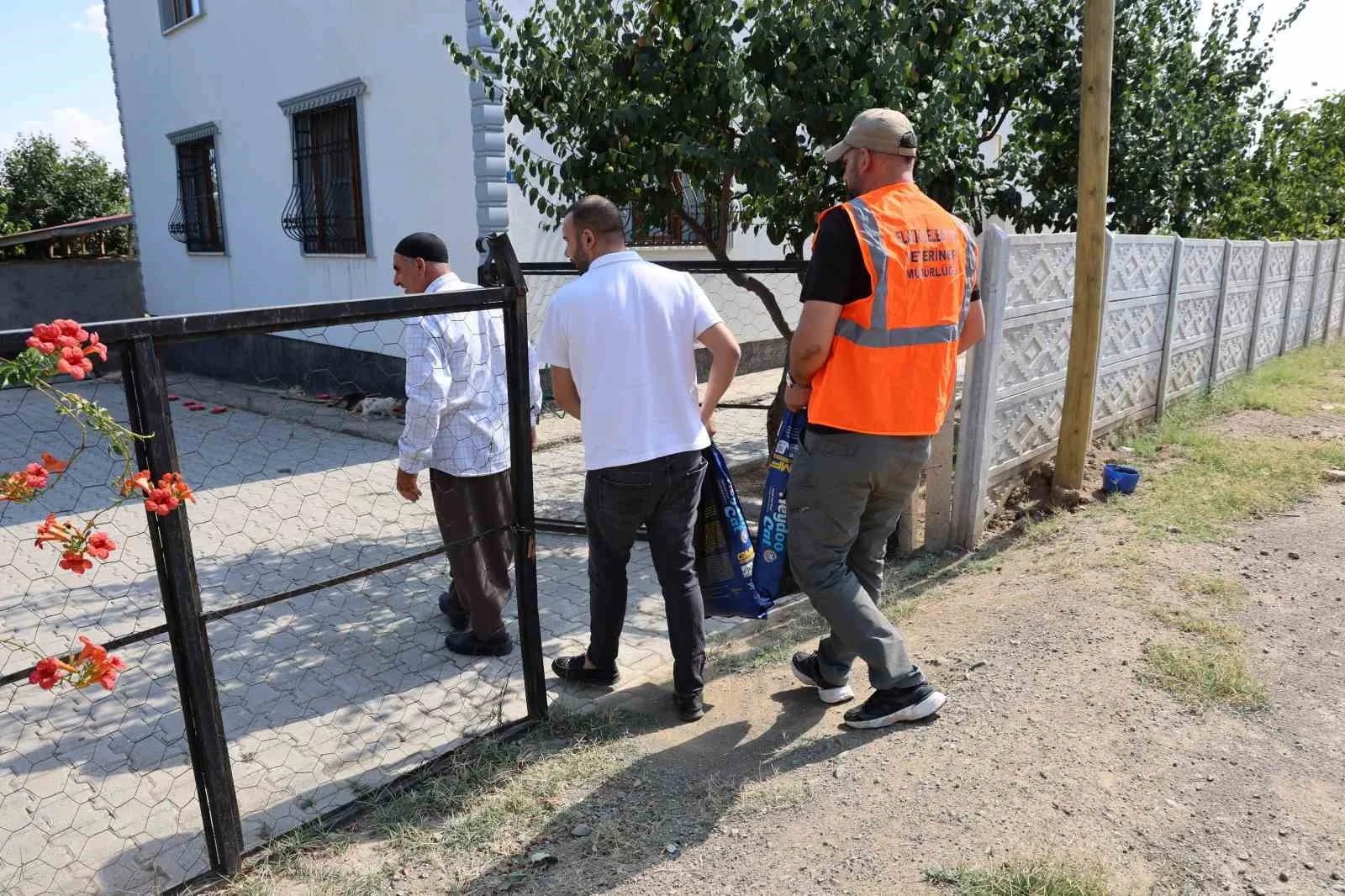 62 yaşında, her akşam 50 kediyi evinin bahçesinde ağırlıyor