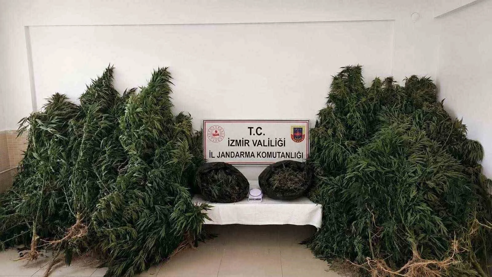 İzmir’de zehir tacirlerine ’drone’ destekli operasyon: 13,4 kilo esrar ele geçirildi