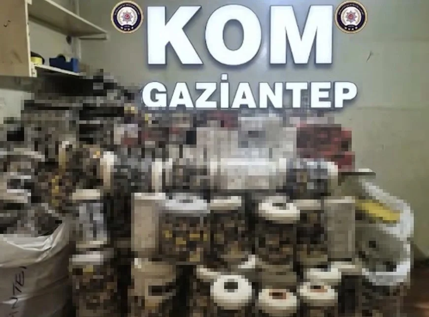Gaziantep’te 14 bin paket kaçak sigara ele geçirildi: 1 gözaltı