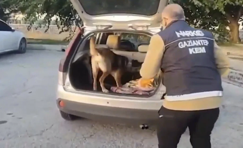 Narkotik köpeğinin aradığı araçta kutuya gizlenmiş metamfetamin bulundu
