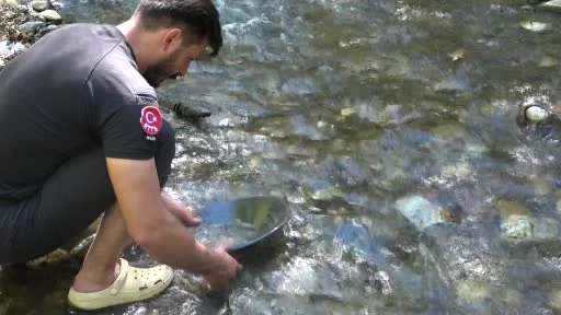 Türkiye’de altın çok arayan yok...Derelerde her gün 5 gram altın çıkarıyorlar