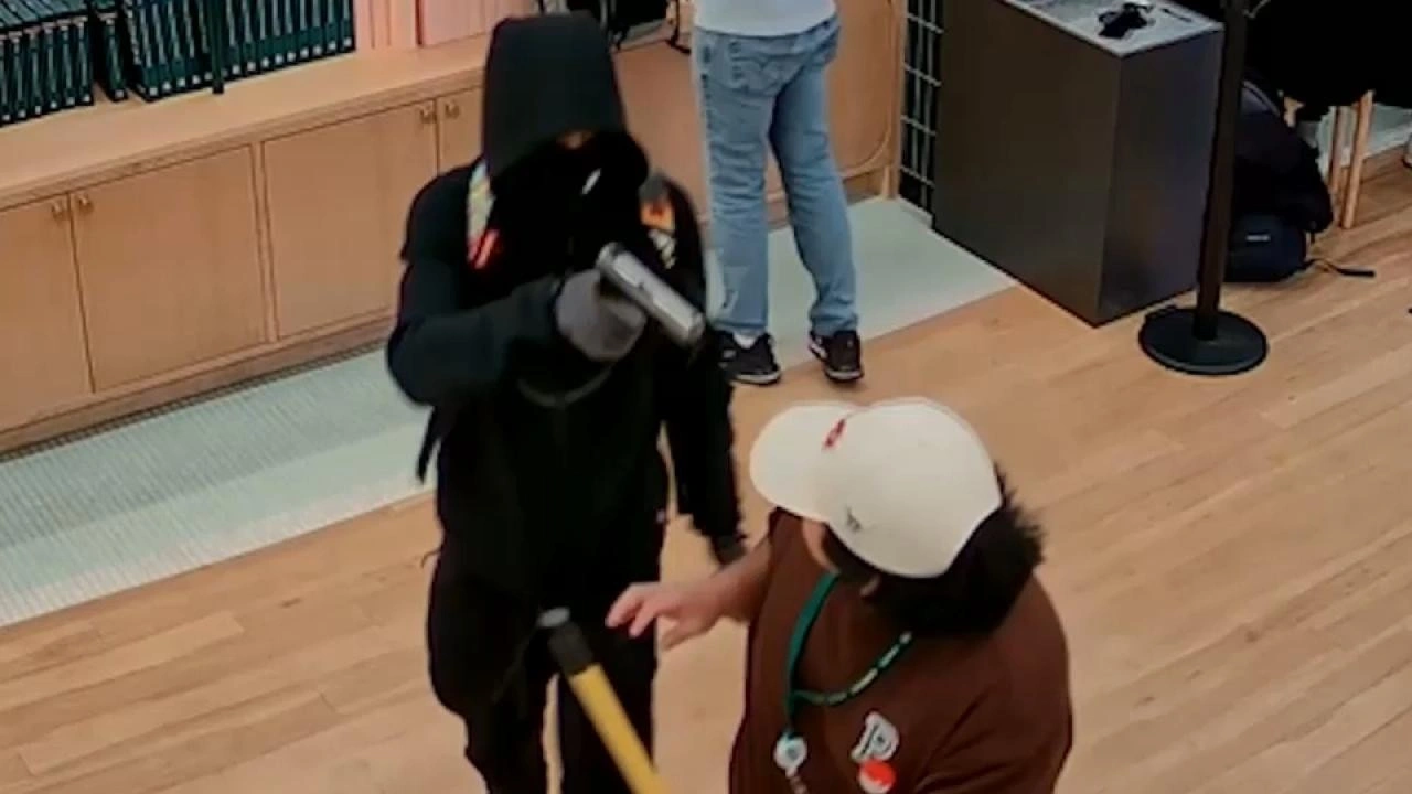 Fransa'da ilgin&ccedil; soygun: Ne para ne altın! Değeri şaşkına &ccedil;evirdi