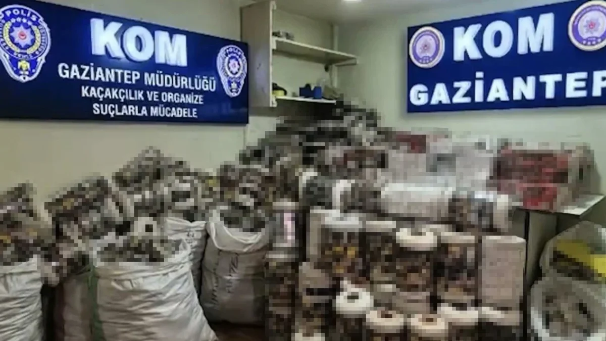 Gaziantep’te 14 bin paket kaçak sigara ele geçirildi: 1 gözaltı