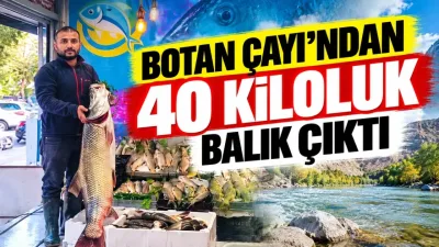 Botan Çayı’ndan 40 kiloluk balık çıktı