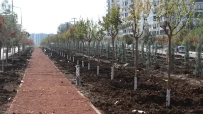 Yeşil bir kent için 9 bin ağaç ve 50 bin çalı toprakla buluştu