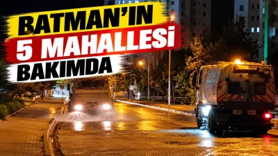 Batman’ın 5 mahallesi bakımda