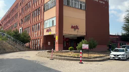 AK Parti Grup Başkanvekili Leyla Şahin Usta, TEM&rsquo;de ge&ccedil;irdiği kazada yaralandı