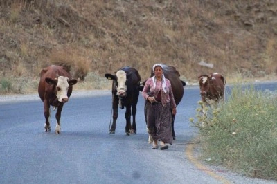 Alevlerden ka&ccedil;tılar, hayvanlarını ve kendi canlarını zor kurtardılar