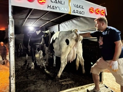 Aydın'da orman yangını (6)