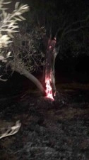Burhaniye&rsquo;de ot yangını bek&ccedil;ilerin dikkati sayesinde b&uuml;y&uuml;meden &ouml;nlendi