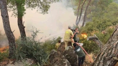 &Ccedil;ine yangınına m&uuml;dahale ikinci g&uuml;nde s&uuml;r&uuml;yor