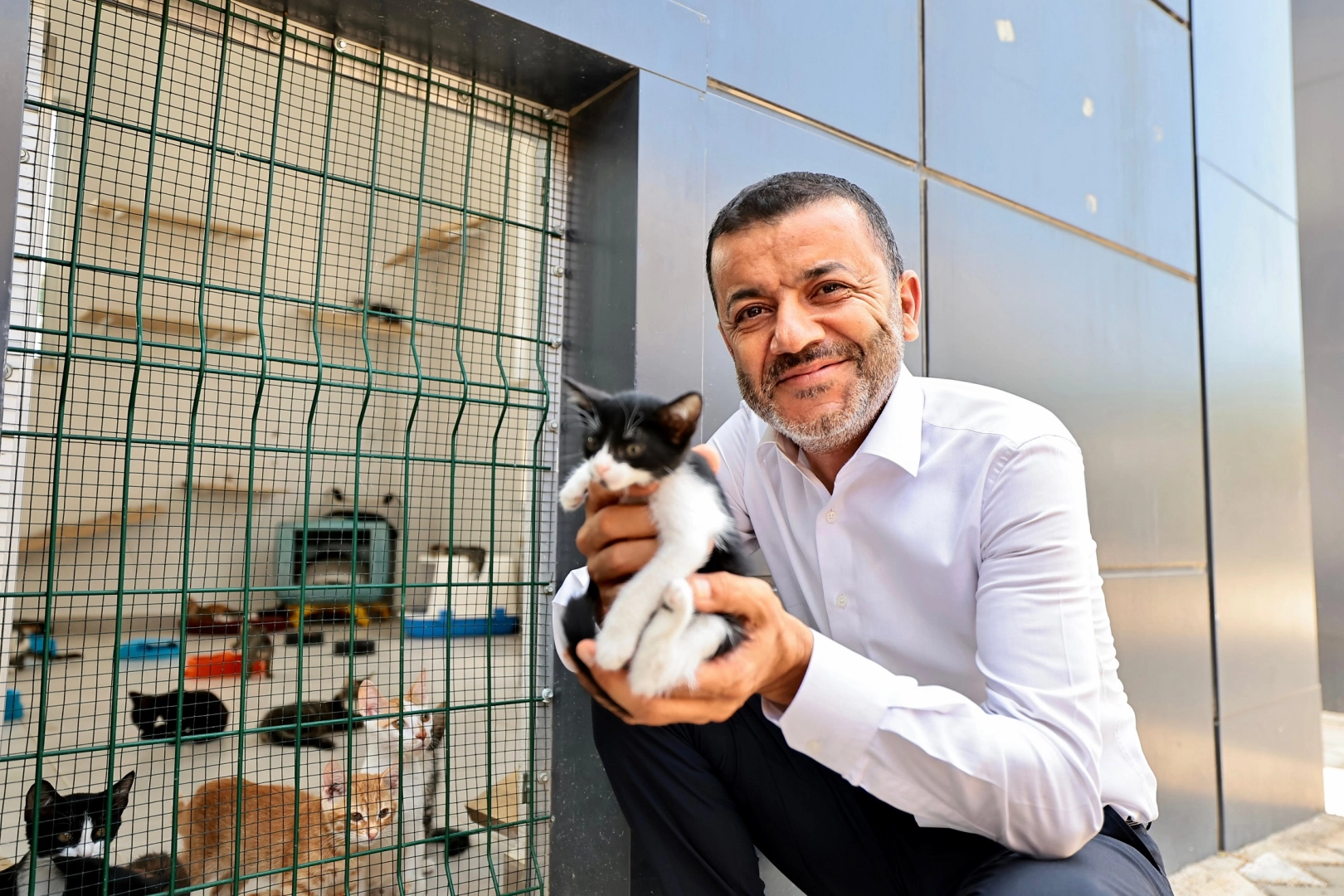 Denizli B&uuml;y&uuml;kşehir&rsquo;den Can Dostlarına Şefkat Eli