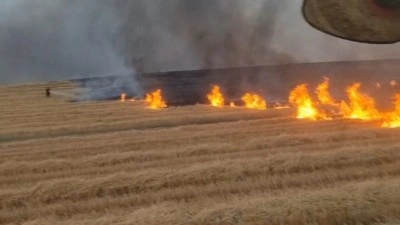 Diyarbakır&rsquo;da 5 bin d&ouml;n&uuml;m arazi alevlere teslim oldu