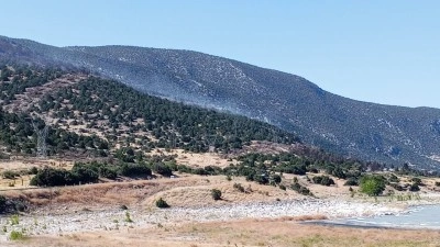 Eğirdir G&ouml;l&uuml; kenarında 2 noktada yangın (2)