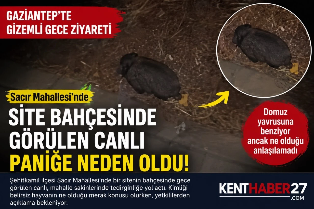 Gaziantep&rsquo;te Site Bah&ccedil;esinde G&ouml;r&uuml;len Canlı Paniğe Neden Oldu