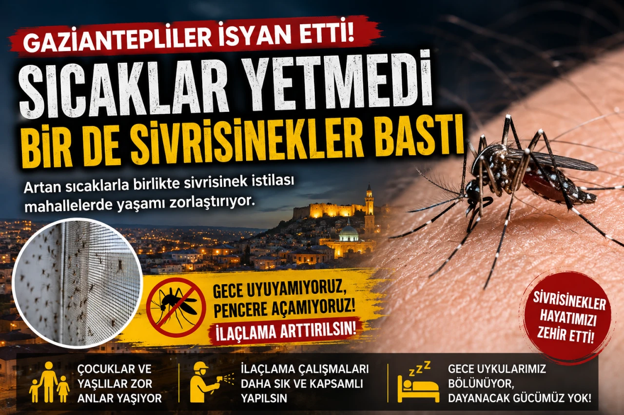 Gaziantep'te Sivrisinek Alarmı! Vatandaşlar Gece Uyuyamadıklarını S&ouml;yl&uuml;yor