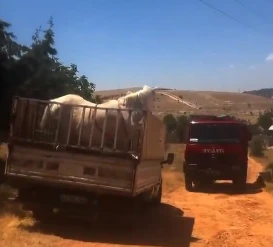 Gaziantep'te Yaralı Atların ve Eşeklerin Umudu, &Ouml;mer Sezgin