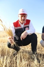 G&uuml;neydoğu'da anız yangınlarıyla m&uuml;cadele sonu&ccedil; veriyor
