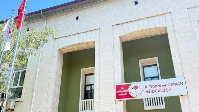 Kedinin ısırdığı 4 yaşındaki &ccedil;ocuk ent&uuml;be edildi! Kuduz testi pozitif &ccedil;ıktı