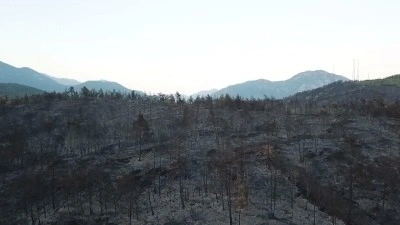 Muğla&rsquo;daki yangınlarda 5 bin hektardan fazla alan zarar g&ouml;rd&uuml;