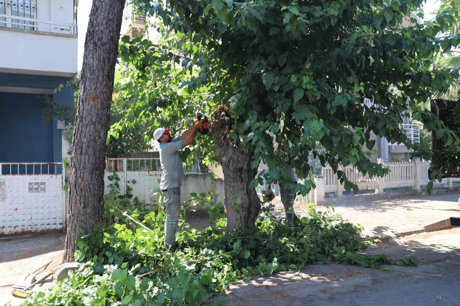 Nazilli&rsquo;de yeşil alanlarda sonbahar hazırlığı