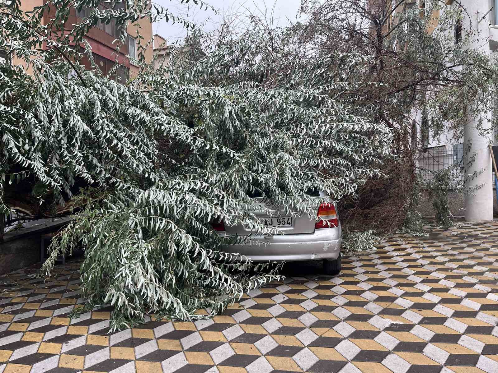 Niğde&rsquo;de devrilen ağa&ccedil; park halindeki aracın &uuml;zerine d&uuml;şt&uuml;