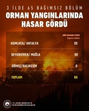 Orman yangınlarında 65 bağımsız b&ouml;l&uuml;m ağır hasar aldı