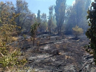 Ot yangını paniğe neden oldu