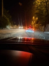 Sakarya'da milyonlarca kelebeğin &ouml;l&uuml;m dansı