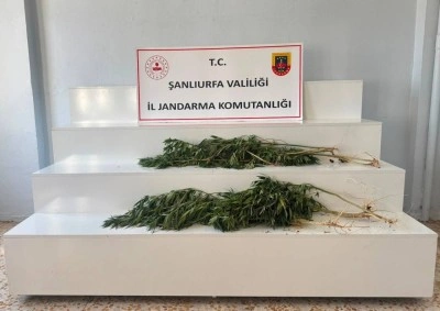 Şanlıurfa'da uyuşturucu operasyonunda 2 ş&uuml;pheli yakalandı