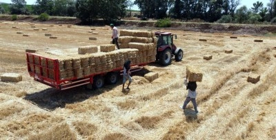 Tekirdağ'da balya bağlama ile a&ccedil;ık alanda ateş yakılması yasaklandı