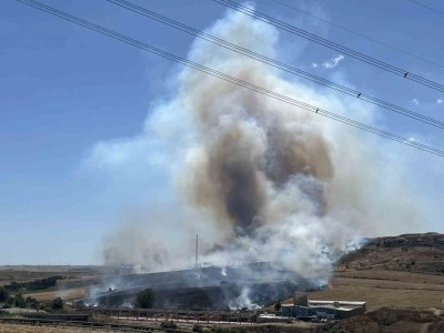 Tekirdağ&rsquo;da korkutan yangın: 500 d&ouml;n&uuml;m anız alev alev yandı